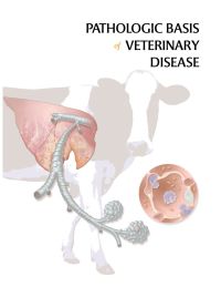 PATHOLOGIC BASIS OF VETERINARY DISEASE 5TH EDITION PDF visual data 3