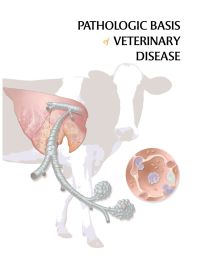 Cover image: Pathologic Basis of Veterinary Disease 4th edition 9780323028707