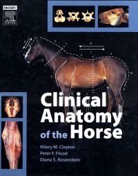 Cover image: Clinical Anatomy of the Horse 1st edition 9780723433026