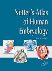 Cover image: Netter's Atlas of Human Embryology 1st edition 9780914168997
