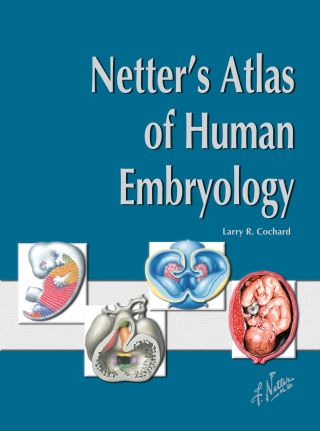 Cover image: Netter's Atlas of Human Embryology 1st edition 9780914168997