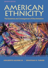 Cover image: American Ethnicity: The Dynamics and Consequences of Discrimination 7th edition 0078111587