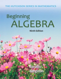 Cover image: Beginning Algebra 9th edition 9780073384459