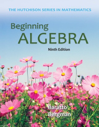Cover image: Beginning Algebra 9th edition 9780073384459