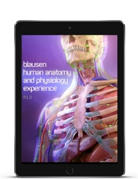 Imagen de portada: The Complete Blausen Human Anatomy & Physiology Experience 1st edition 0578389045