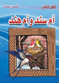 Cover image: ام سند ام هند 1st edition 06688KTAB