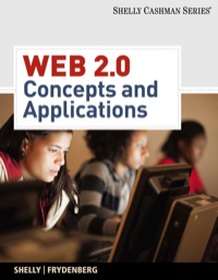 Cover image: Web 2.0: Concepts and Applications 1st edition 9781439048023