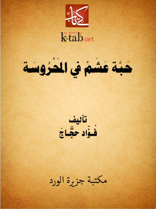 صورة الغلاف: حبة عشم فى المحروسة 1st edition 12309KTAB