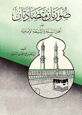 Titelbild: صورتان متضادتان عند أهل السنة والشيعة الإمامية 1st edition 13825KTAB