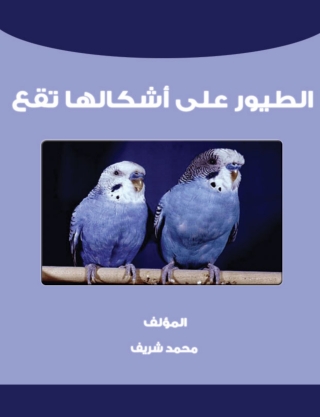 表紙画像: الطيورعلى أشكالها تقع 1st edition 14719KTAB
