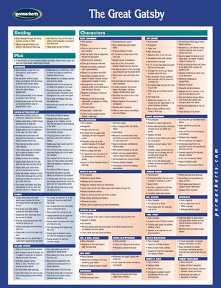 Cover image: The Great Gatsby - Literature Novel Summary Quick Reference Guide 1st edition 9781550801859