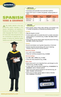 Cover image: Spanish Verbs & Grammar Chart - Language Quick Reference Guide 1st edition 9781554312306