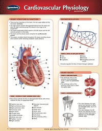 Cover image: Cardiovascular Physiology Chart - Medicine and Anatomy - Quick Reference Guide 2nd edition 9781550805789