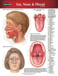 Cover image: Ear, Nose & Throat Chart - Medicine and Anatomy Nursing Quick Reference Guide 2nd edition 9781550804348
