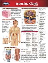 Cover image: Endocrine Glands Chart  - Medicine and Anatomy Nursing Quick Reference Guide 2nd edition 9781550801545