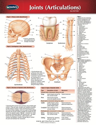 Cover image: Joints Articulations Chart - Medicine and Anatomy Nursing Quick Reference Guide 2nd edition 9781550803310