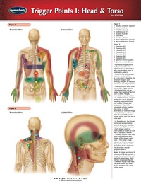 Cover image: Trigger Points I: Head & Torso Chart - Acupunture - Medicine Quick Reference Guide 2nd edition 9781550802368