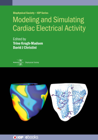 Titelbild: Modeling and Simulating Cardiac Electrical Activity 1st edition 9780750320658