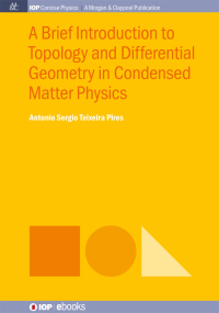 Imagen de portada: A Brief Introduction to Topology and Differential Geometry in Condensed Matter Physics 1st edition 9781643273716