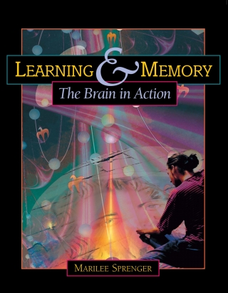 表紙画像: Learning and Memory 9780871203502