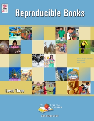 PCI Reading Program, Level 3 Reproducible Books (20 books) - 20430E 1st ...