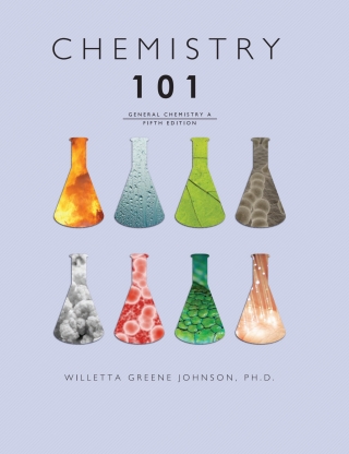 Imagen de portada: Chemistry 101 5th edition 9781793554338