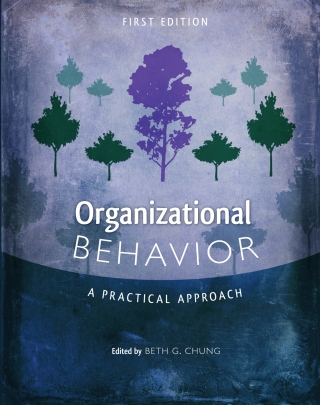 Cover image: Organizational Behavior: A Practical Approach 1st edition 9781516512119