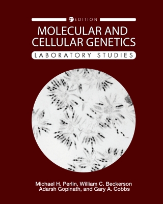 Cover image: Molecular and Cellular Genetics 2nd edition 9781516586745