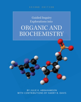 Imagen de portada: Guided Inquiry Explorations into Organic and Biochemistry 2nd edition 9781793568083