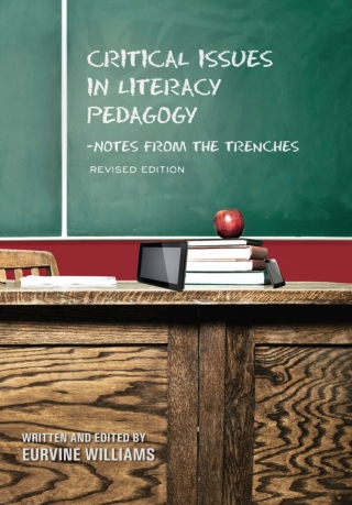 Titelbild: Critical Issues in Literacy Pedagogy 1st edition 9781621311348