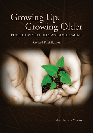 Cover image: Growing Up, Growing Older 1st edition 9781621312727