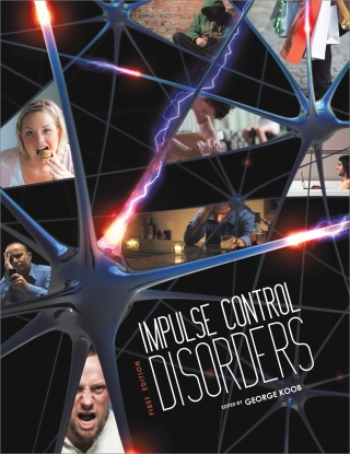 Cover image: Impulse Control Disorders 1st edition 9781621312123