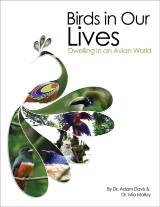 Cover image: Birds in Our Lives 9781609276898