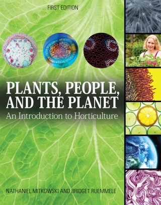 Cover image: Plants, People, and the Planet 1st edition 9781626618640