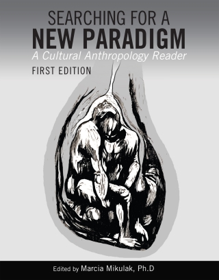Cover image: Searching for a New Paradigm 1st edition 9781609273989