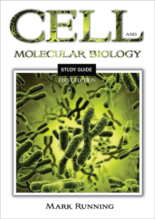 Cover image: Cell and Molecular Biology Study Guide 1st edition 9781609274023