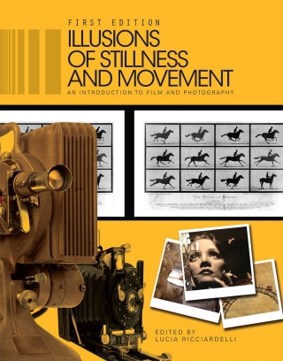 Cover image: Illusions of Stillness and Movement 1st edition 9781626610675
