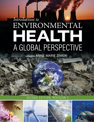 Cover image: Introduction to Environmental Health 2nd edition 9798823377935
