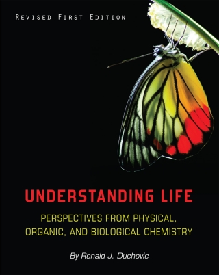 Cover image: Understanding Life 1st edition 9781634871389