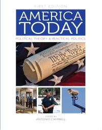 Cover image: America Today 1st edition 9781631890987