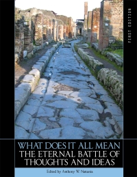 Cover image: What Does it All Mean 1st edition 9781626618046