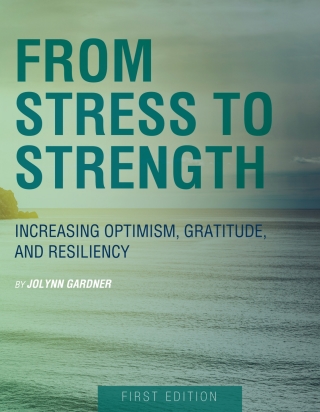 Cover image: From Stress to Strength 1st edition 9781631890888