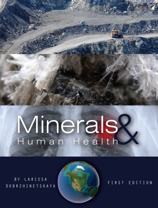 Imagen de portada: Minerals and Human Health 1st edition 9781626613423