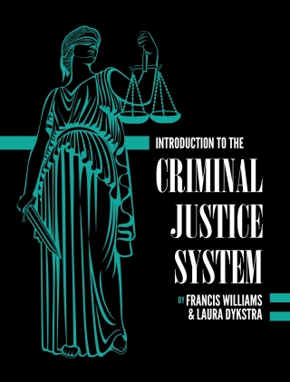 Cover image: Introduction to the Criminal Justice System 1st edition 9781516570133