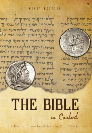 Cover image: The Bible in Context 1st edition 9781626615298
