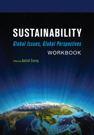 Imagen de portada: Sustainability 1st edition 9781634878913
