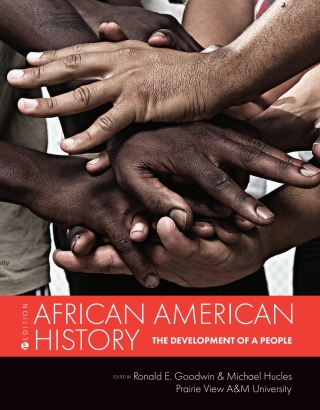 Cover image: African American History 1st edition 9781516529346