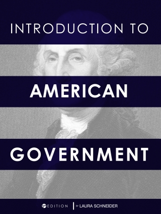 表紙画像: Introduction to American Government 1st edition 9781634879965