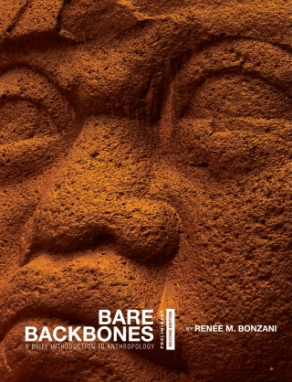 Cover image: Bare Backbones 2nd edition 9798823353434