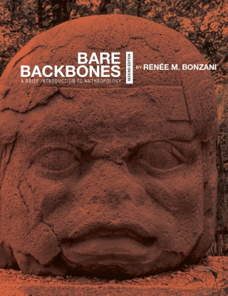Cover image: Bare Backbones 2nd edition 9798823376273